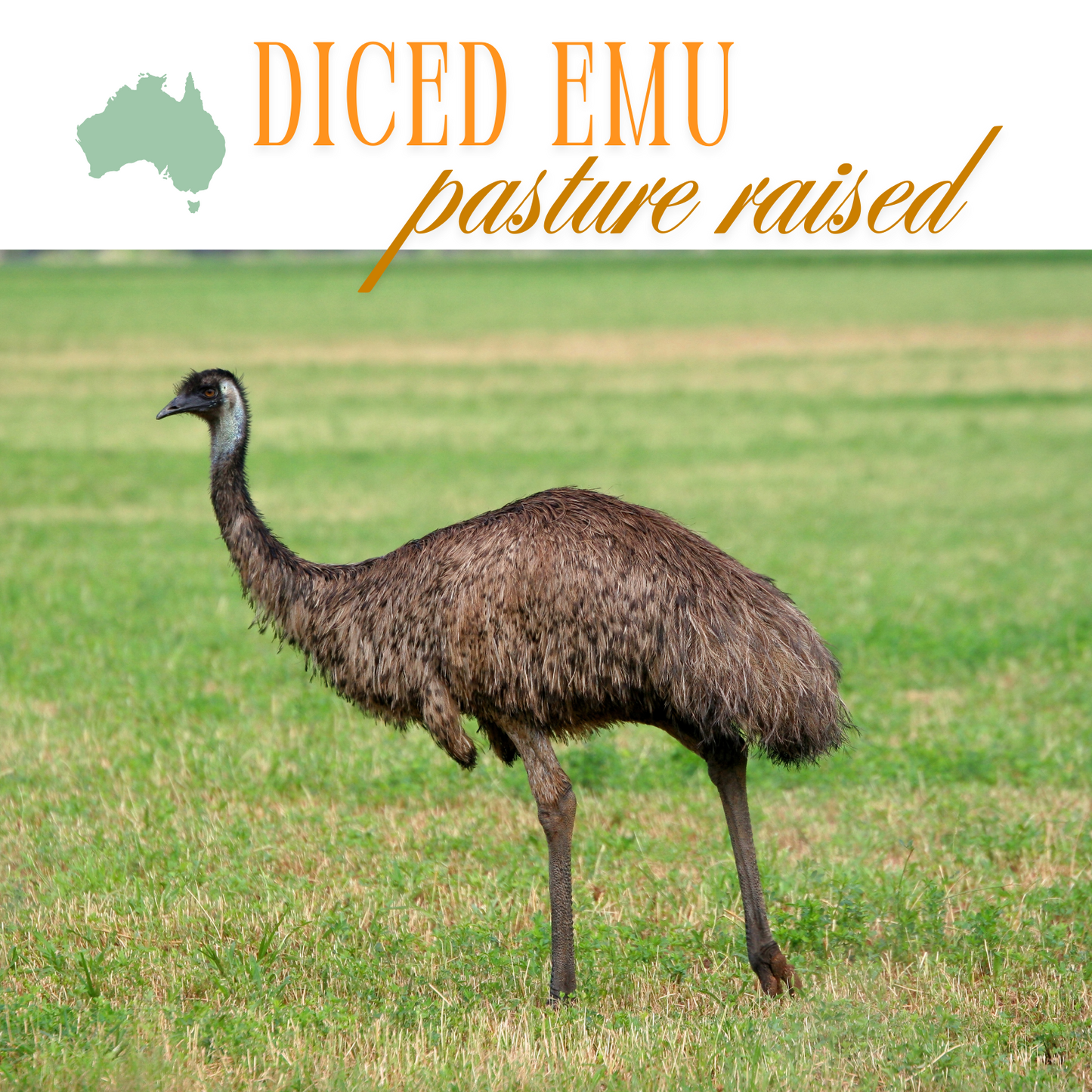 Emu fillet diced