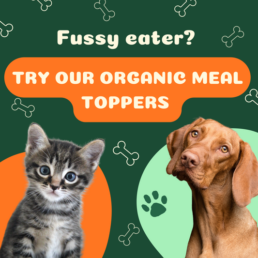 Organic meal topper powders for Pets